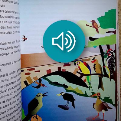 EL PUENTE DE LOS PÁJAROS · cuento (audio-libro)
